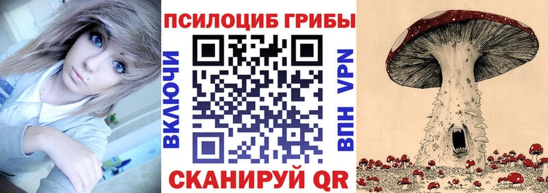 наркота  Вольск  Галлюциногенные грибы мицелий 
